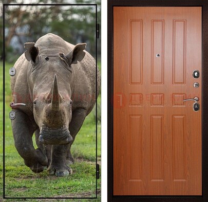 Металлическая дверь с фотопечатью носорога ДФ-31 в Санкт-Петербурге