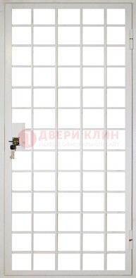 Белая металлическая решетчатая дверь ДР-2 в Санкт-Петербурге